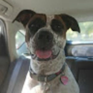 Meet your Posher, Kayeleigh